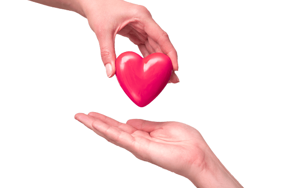 Support “YASHAT” Foundation Support “YASHAT” Foundation